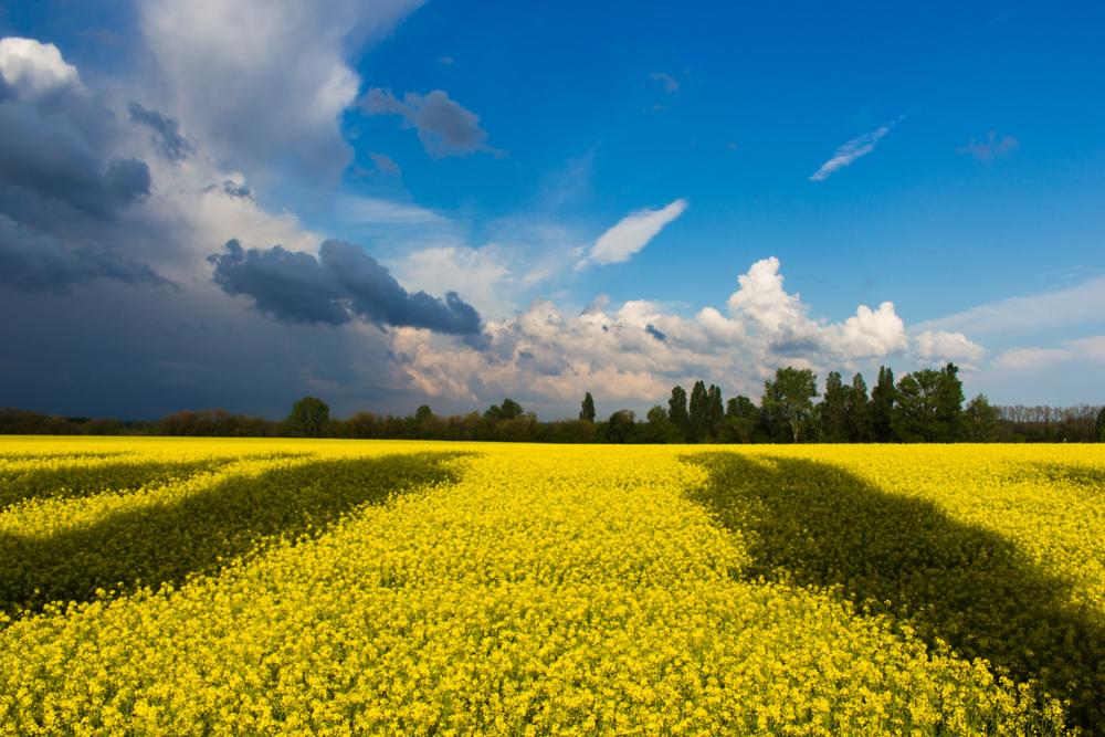 Україна чудова країна