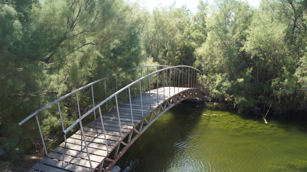 Озеро з черепахами, черепахи на Кріті